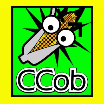 CCob's testimonial for Bad Sector Labs